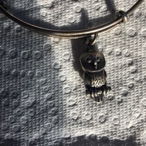 Alex and Ani owl bracelet